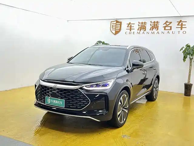 BYD Tang New Energy 2024