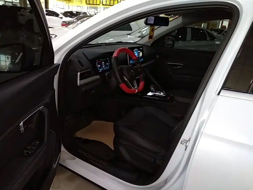BYD Song Pro 2019 1.5T Automatic Elite фото 16
