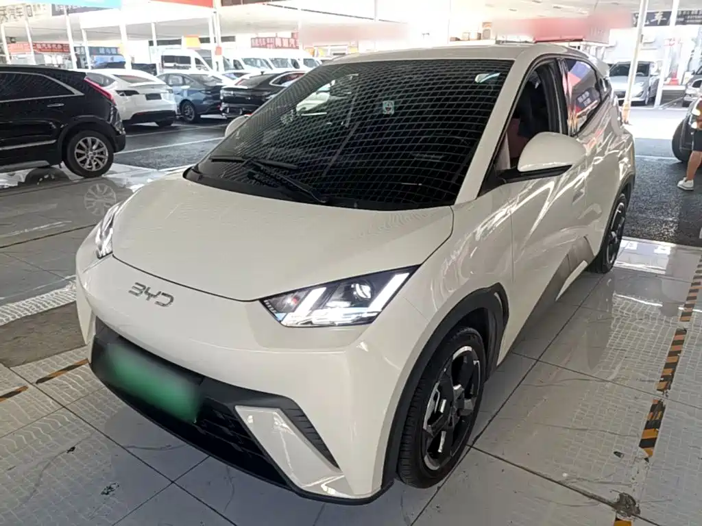 BYD Seagull 2024