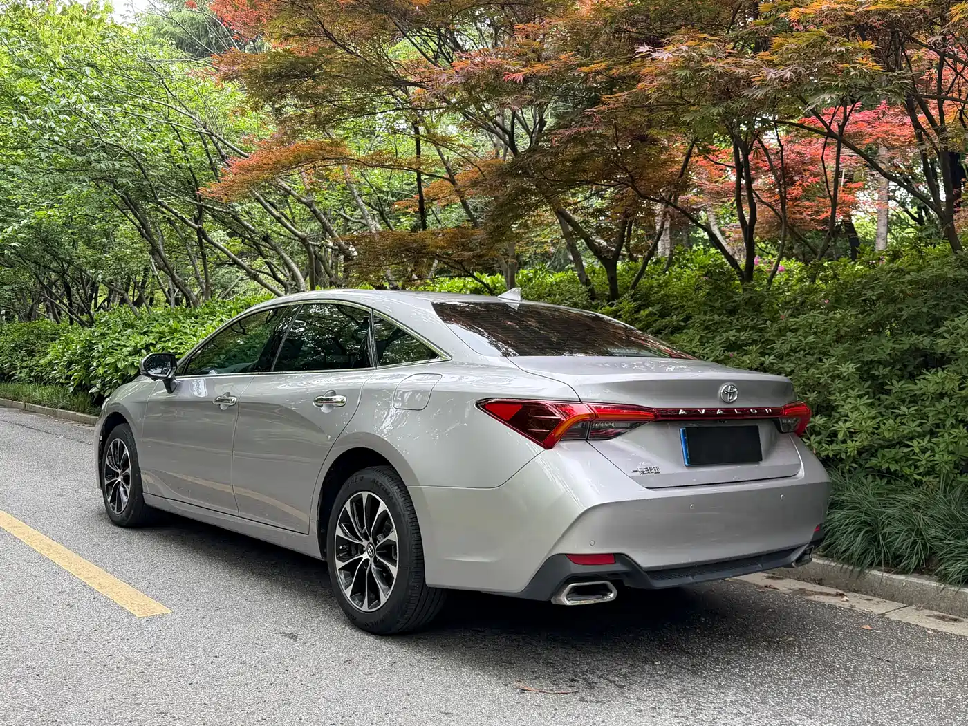 TOYOTA ASIAN DRAGON