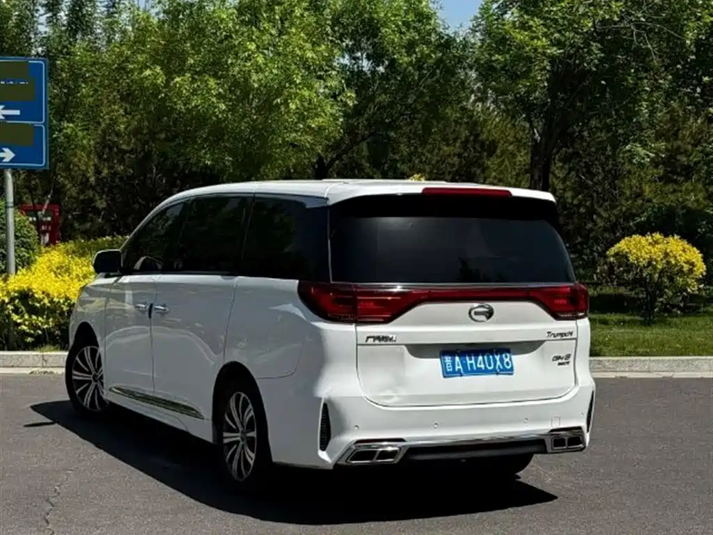 GAC Trumpchi Trumpchi M8 2020 Pilot 390T Ultimate Edition фото 6