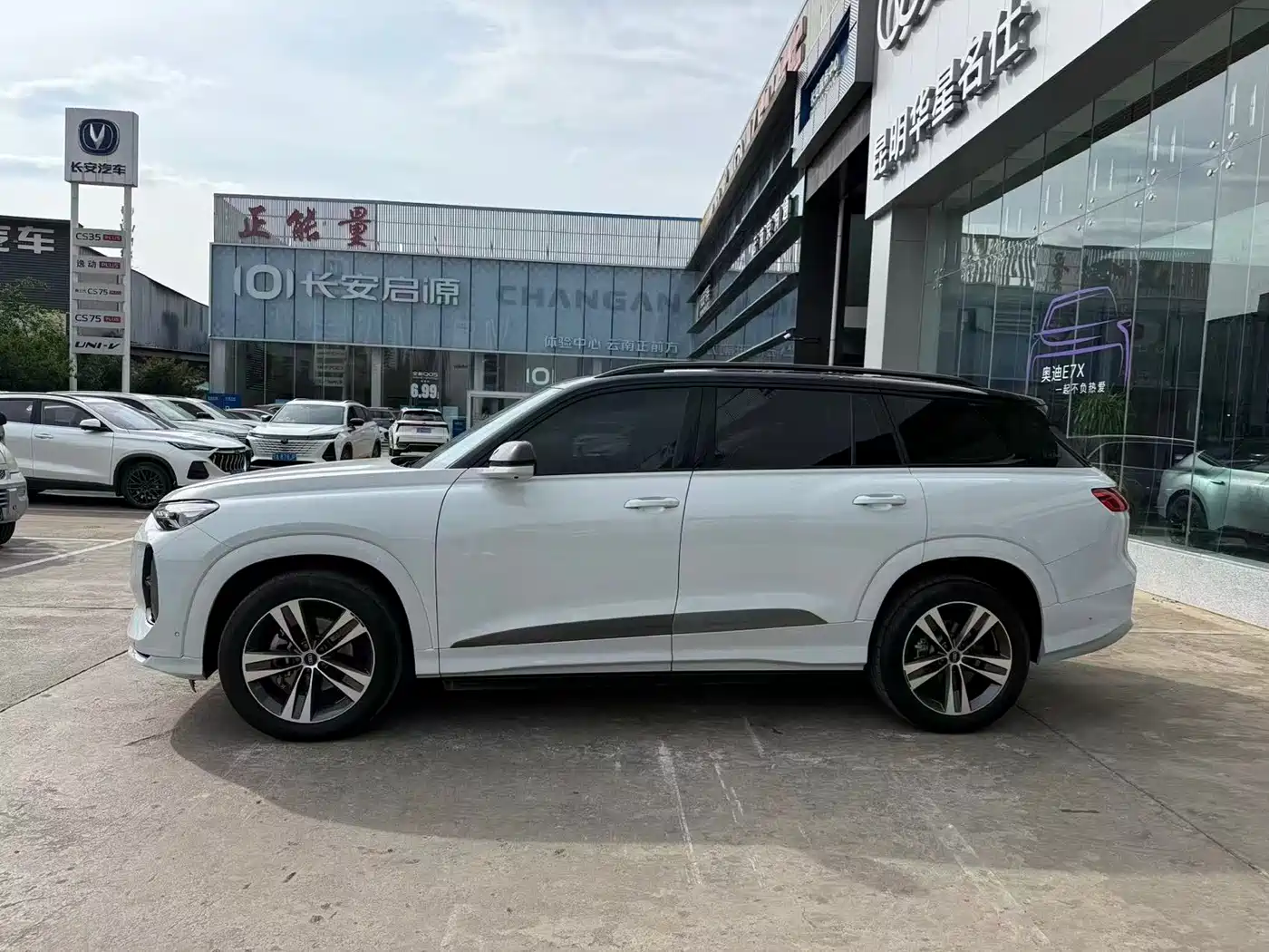 Audi Q6 2023 45 TFSI quattro Uniform Clouds Flying Rider Package фото 8