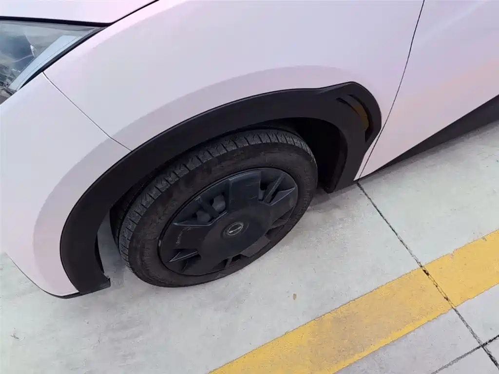 BYD Seagull 2024 Glory Edition 305km Vitality Edition фото 23