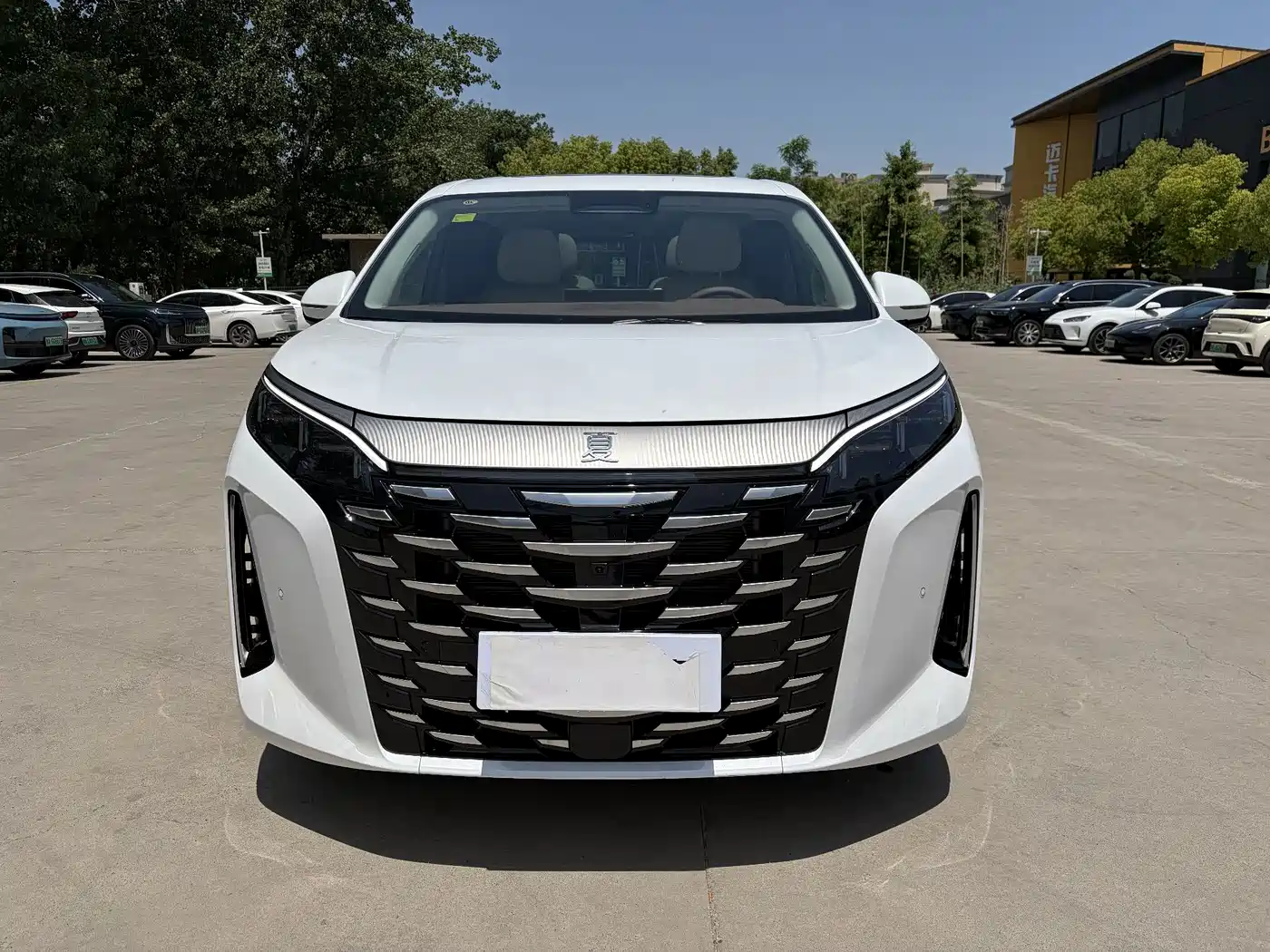 BYD Xia 2025 DM-i 1.5T 100km Leading Edition фото 2