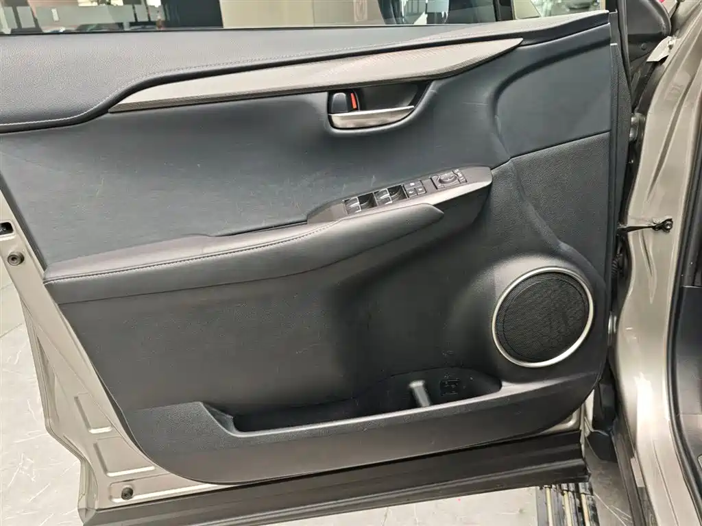 Lexus NX 2018 Model 200 FWD Fengxing Edition China V фото 5