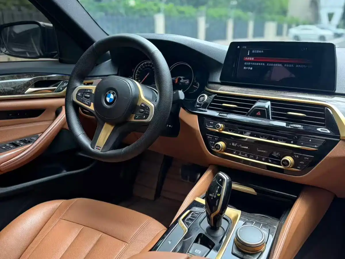BMW 5 Series 2018 530Li Leading M Sport Package фото 7
