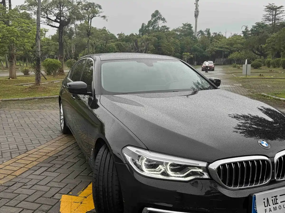 BMW 5 Series 2020 530Li Premium Luxury Package фото 25