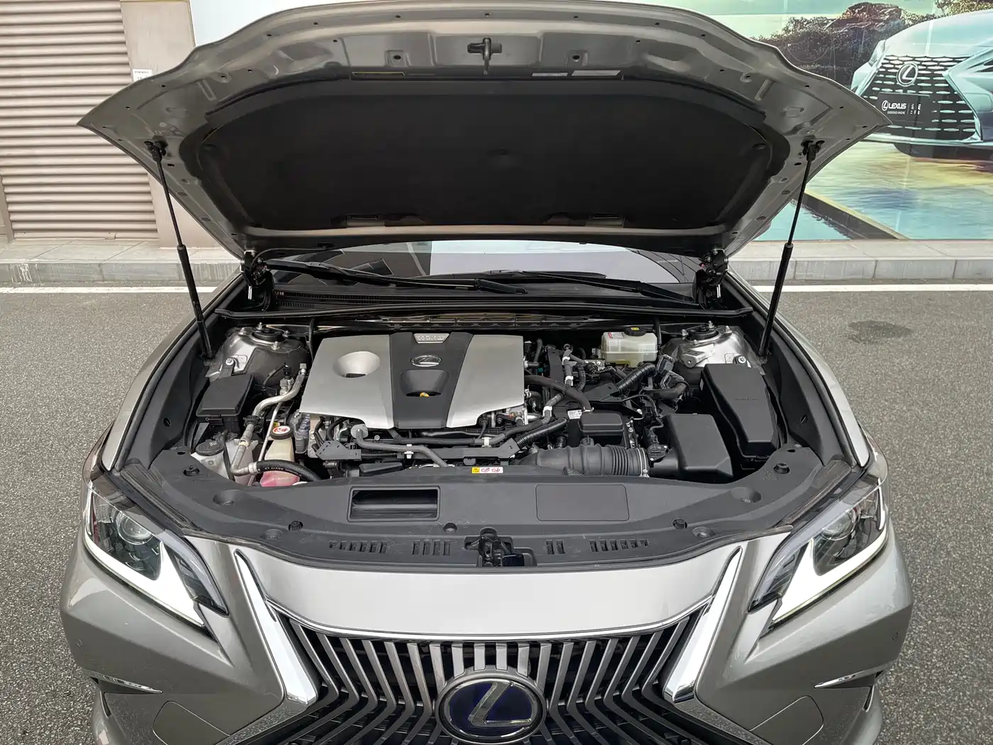 Lexus ES 2018 300h Excellence Edition China V фото 15