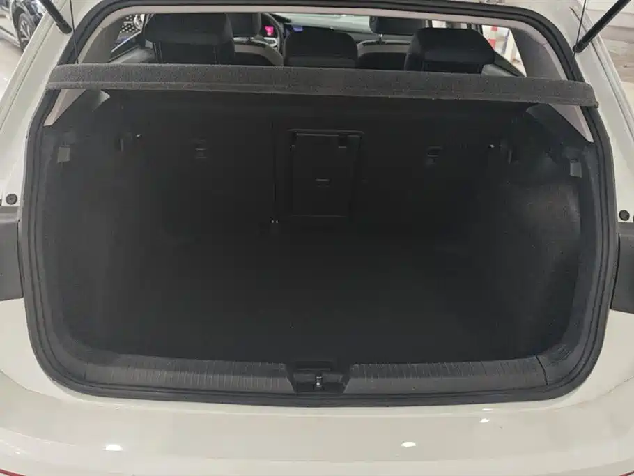 Volkswagen Golf 2021 280TSI DSG Pro фото 4