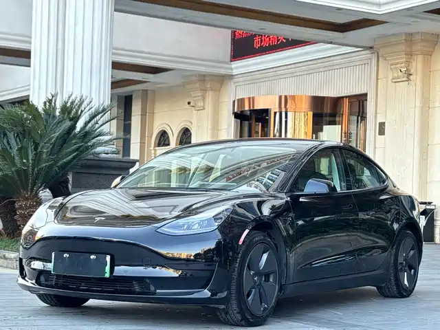 Tesla Model 3 2021 Standard Range Rear-Wheel Drive Upgrade