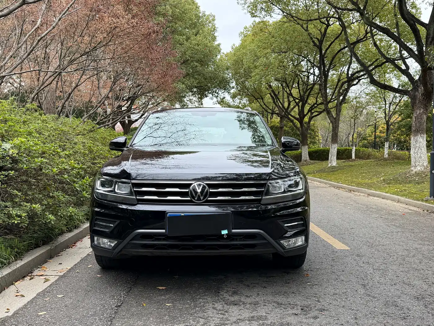 Volkswagen Tiguan L 2021 330TSI Automatic 2WD Smart фото 2