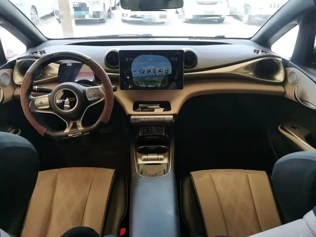 BYD Dolphin 2023 420km Fashion Edition фото 10