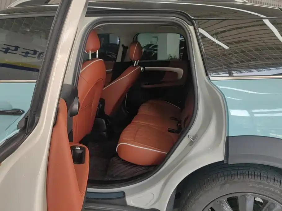 MINI COUNTRYMAN 2022 2022 Facelift 2.0T COOPER S