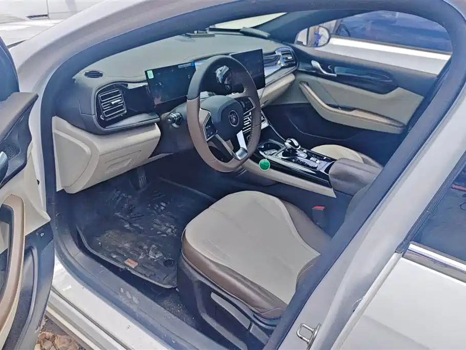 BYD Qin PLUS 2024 Glory Edition DM-i 55KM Leading фото 9