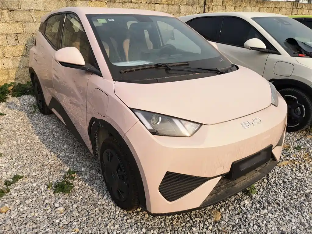 BYD Seagull 2025 Smart Drive Edition 305km Vitality Version фото 4