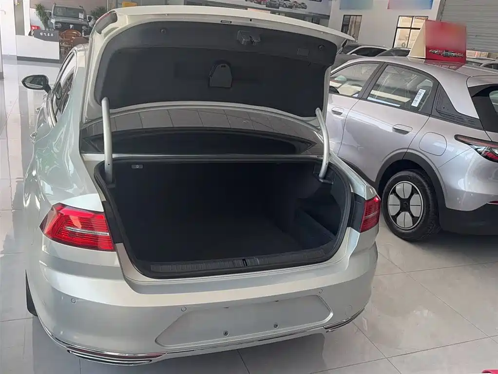 Volkswagen Magotan 2018 330TSI DSG Luxury фото 22