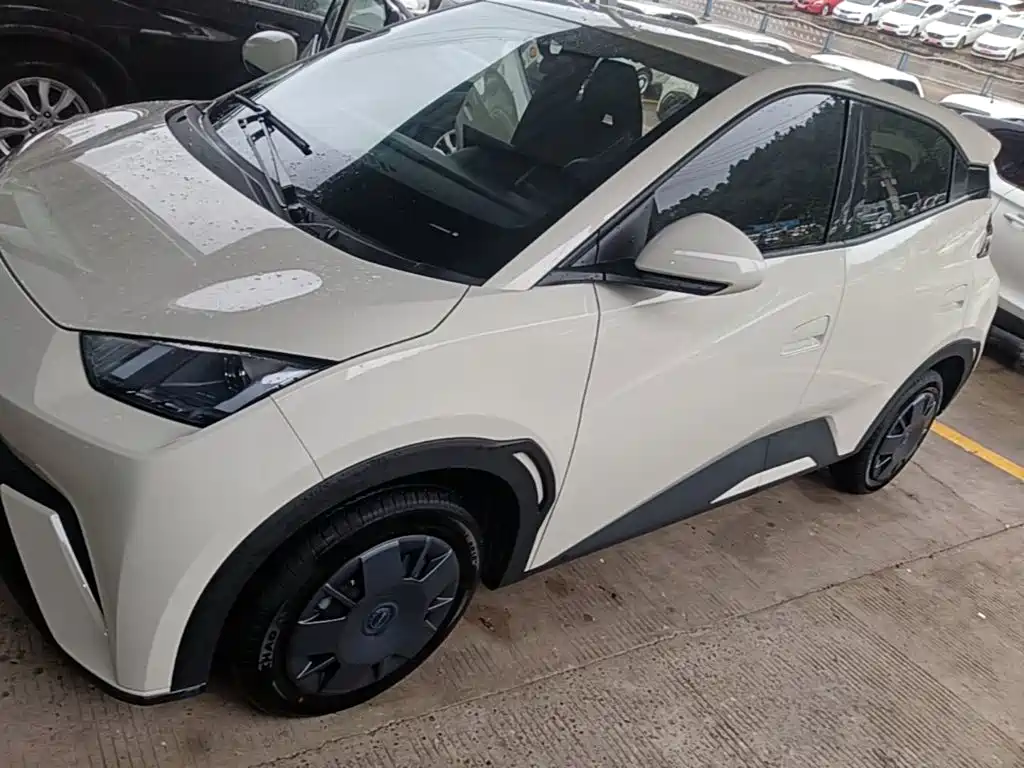 BYD Seagull 2025
