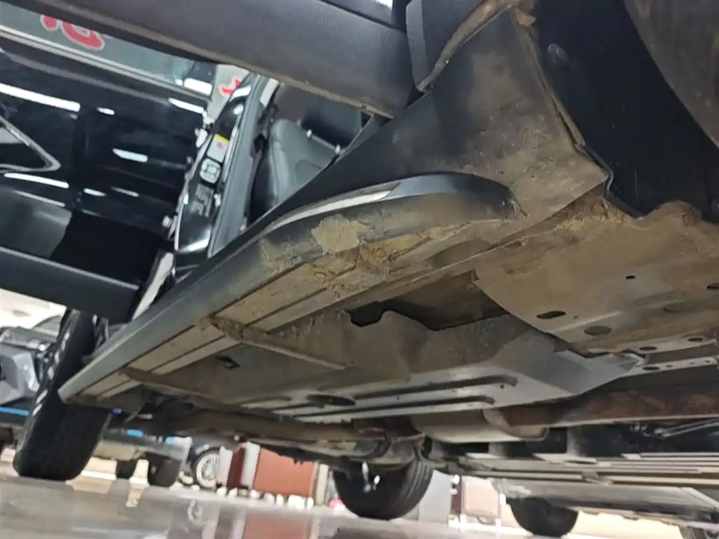 Haval Big Dog 2022 1.5T DCT FWD Border Collie Edition фото 21