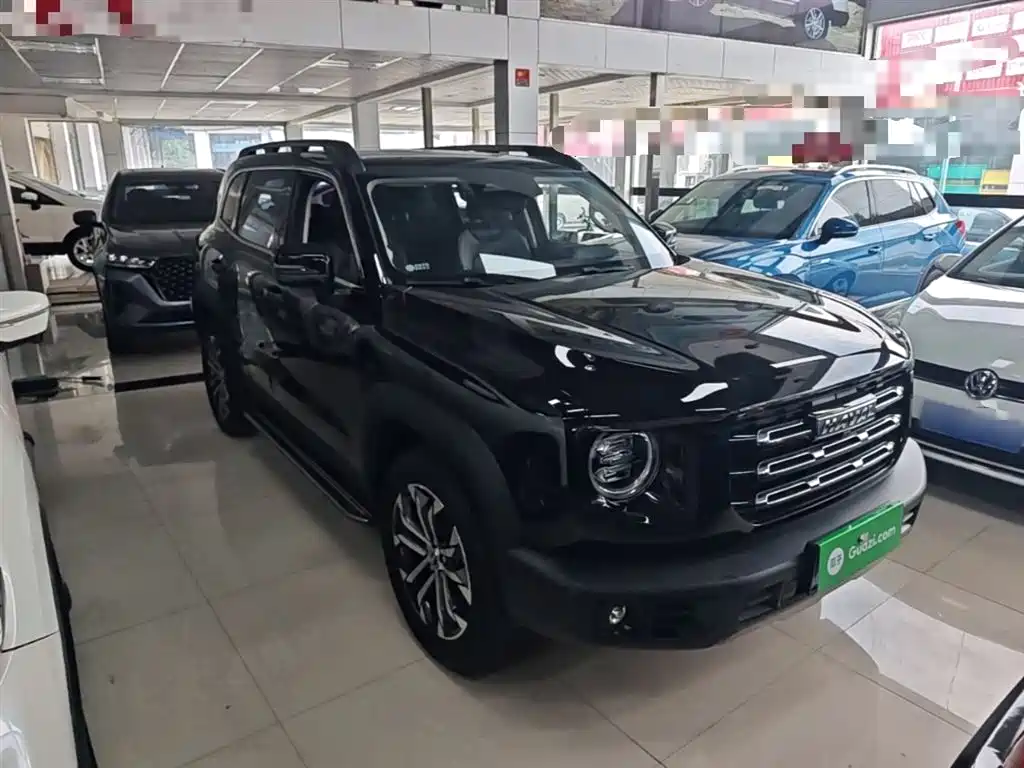 Haval Big Dog 2022 1.5T DCT FWD Border Collie Edition фото 4