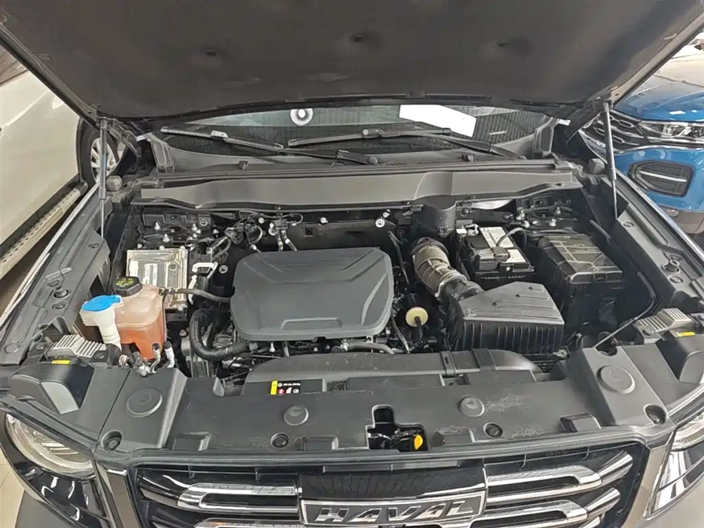 Haval Big Dog 2022 1.5T DCT FWD Border Collie Edition фото 20