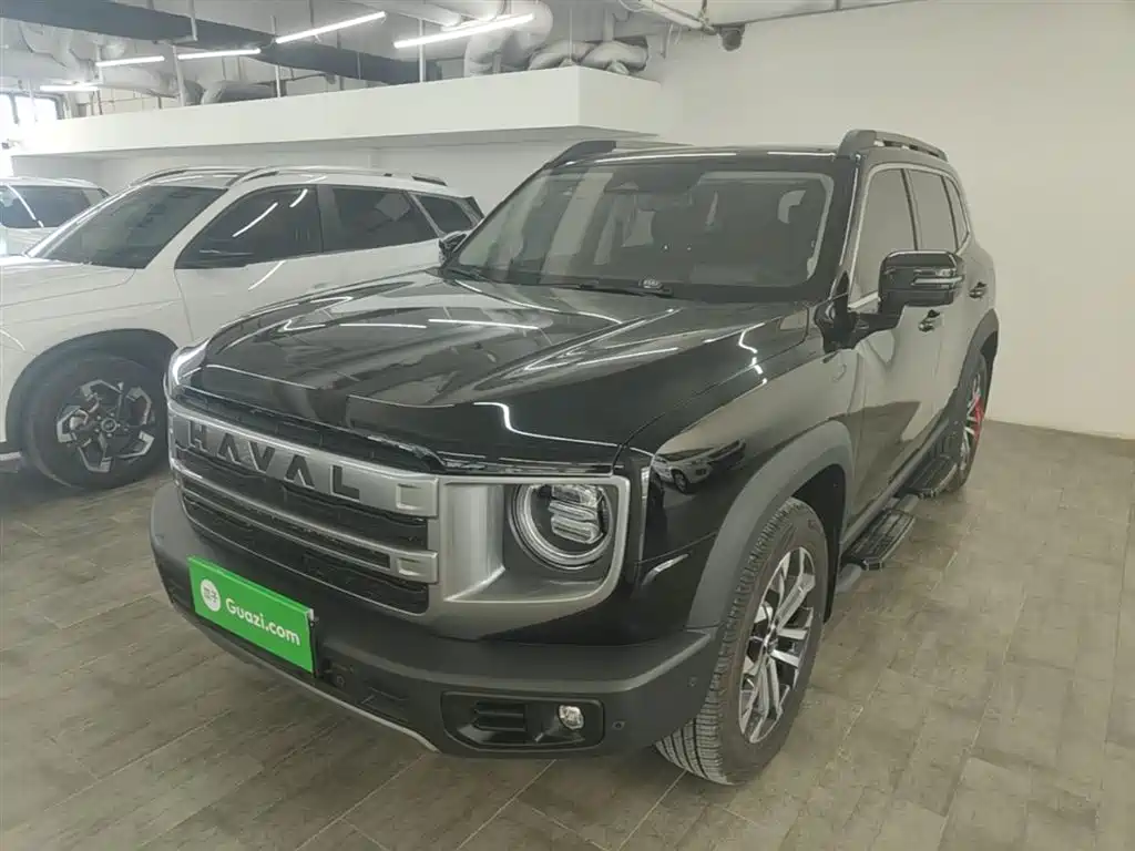 Haval Big Dog 2024 1.5T DCT Border Collie Edition