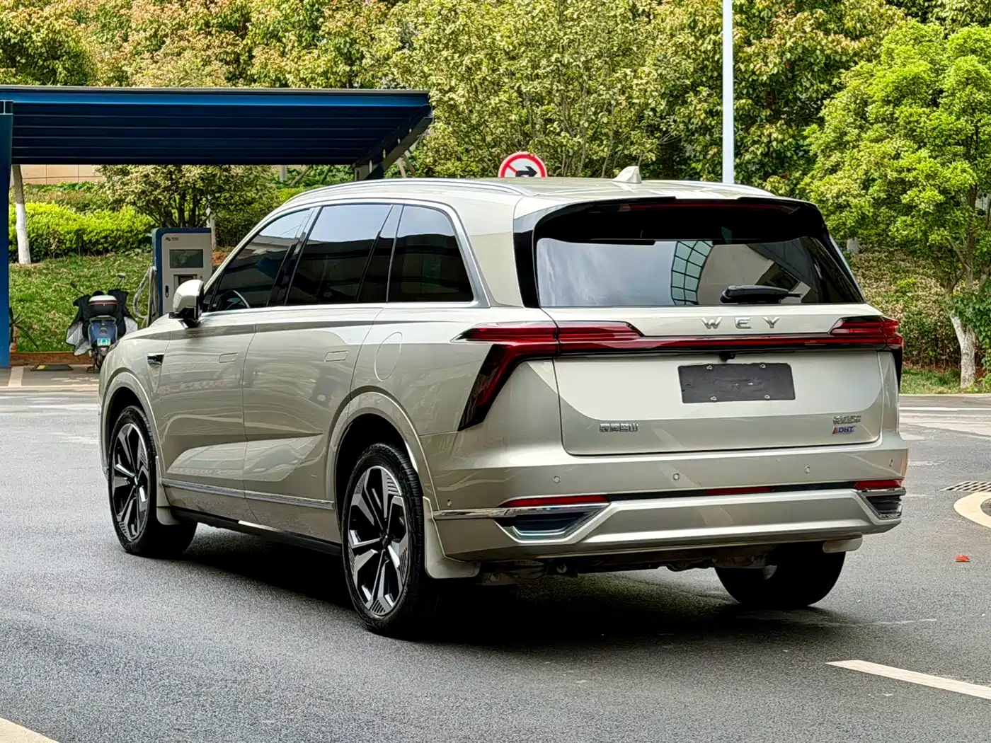 WEI PAI WEI BRAND BLUE MOUNTAIN