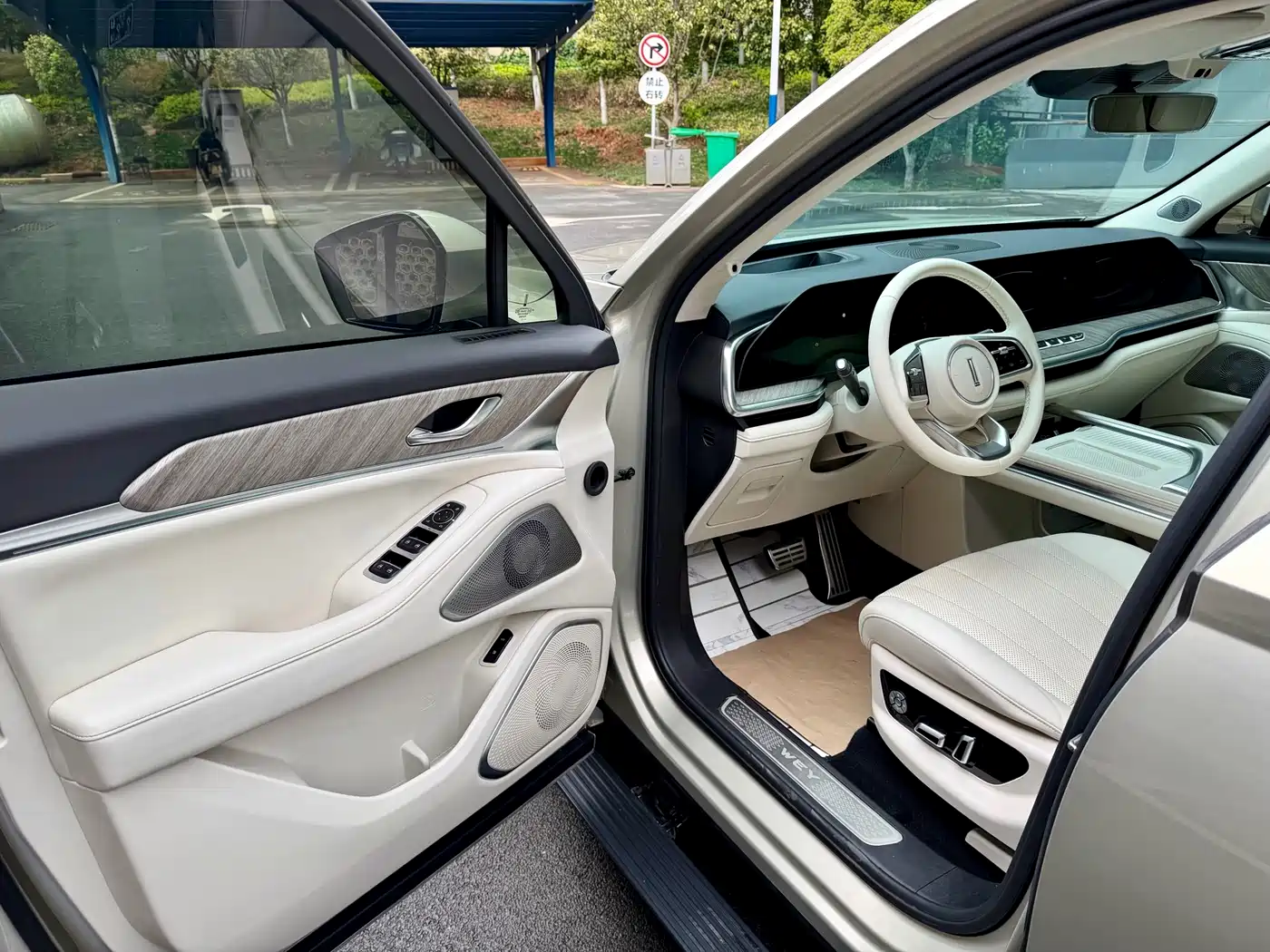 WEI PAI WEI BRAND BLUE MOUNTAIN