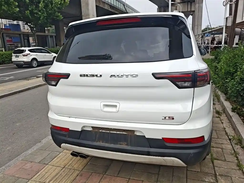 Bisu Auto Bisu T5 2017 2017 1.5T Manual Premium