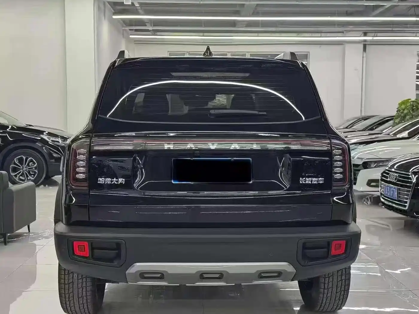 Haval Big Dog 2025 2024 1.5T DCT Border Collie Edition