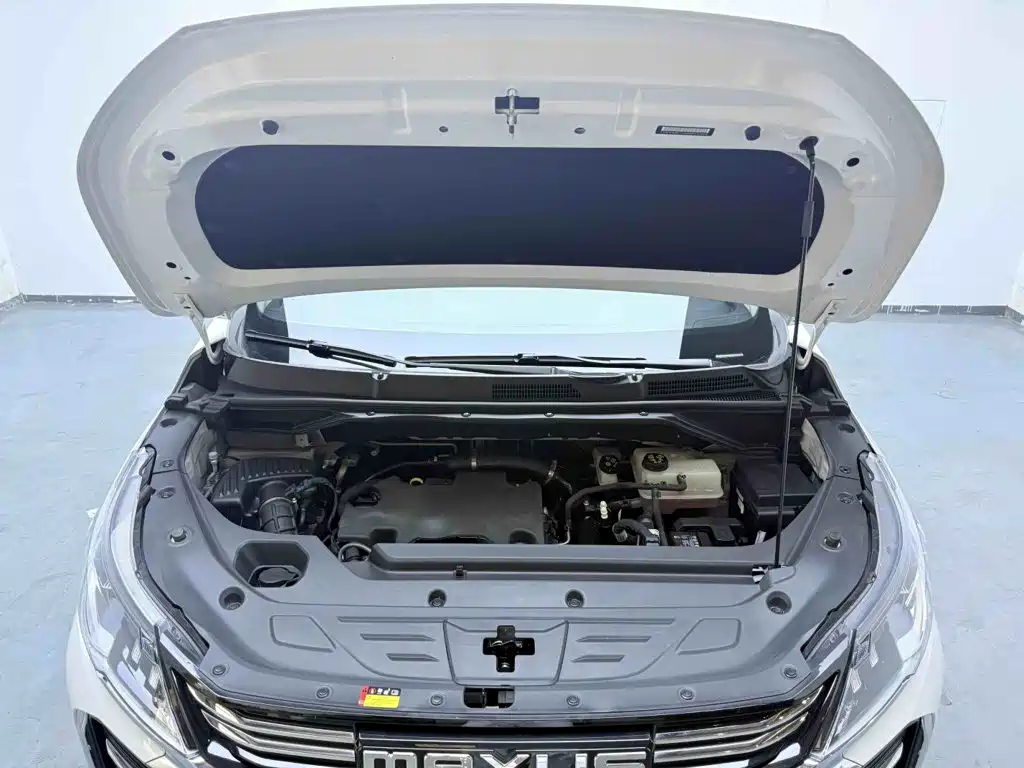 Фото 20 - Maxus Maxus G50