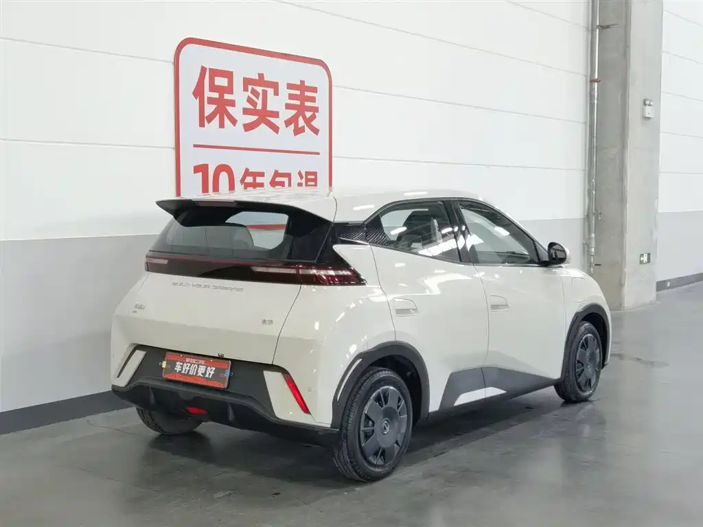 BYD Seagull 2024 Glory Edition 305km Vitality Edition фото 2