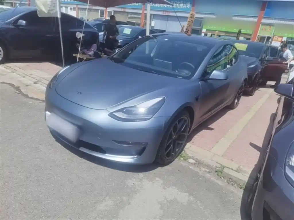 Tesla Model 3 2021 Performance High-Performance All-Wheel Drive 3D6