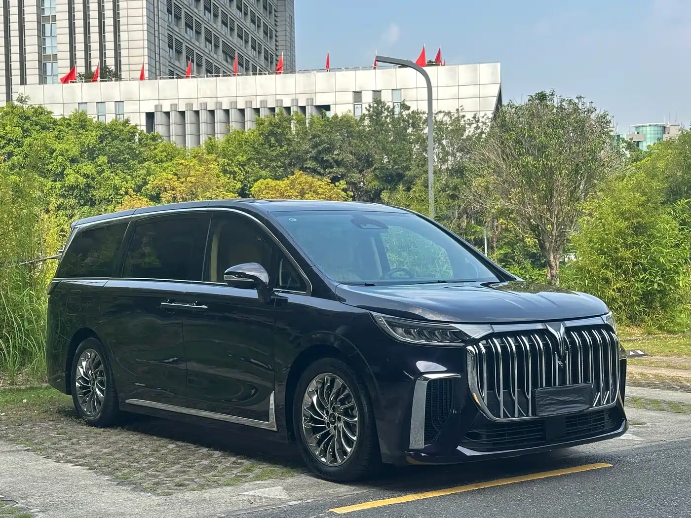 Voyah Auto Voyah Dreamer 2022 Low-carbon Dream+Smart Package фото 3