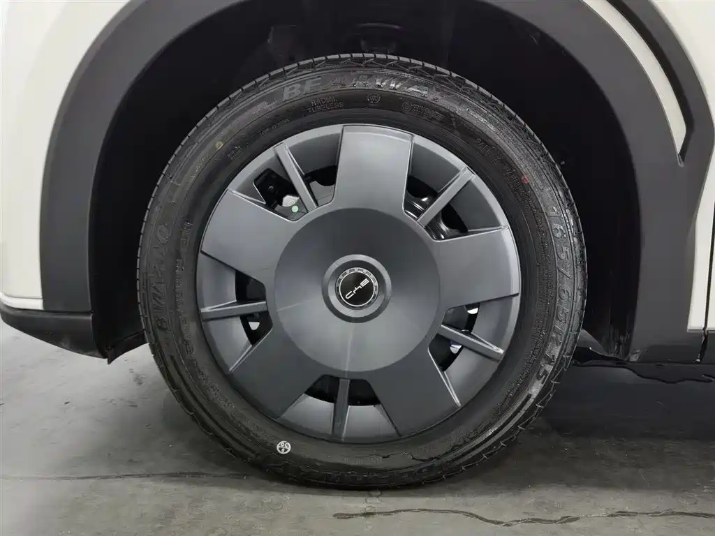 BYD Seagull 2024 Glory Edition 305km Vitality Edition фото 17