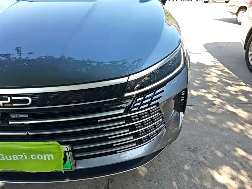 BYD Destroyer 05 2024 Glory Edition DM-i 55KM Luxury фото 24