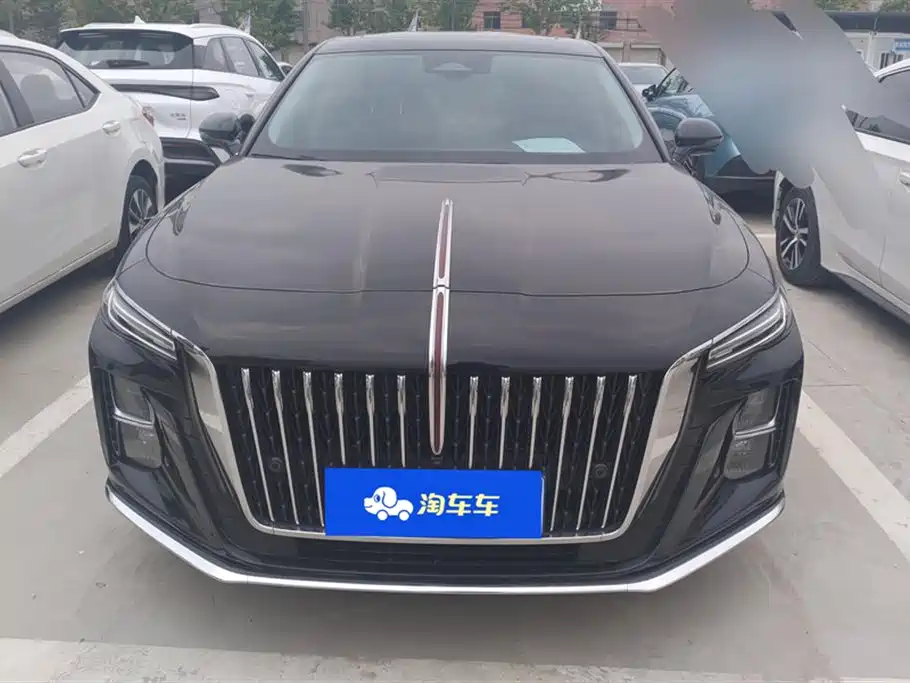Hongqi H5 2023 2.0T Auto Smart Connect Flag Comfort фото 2