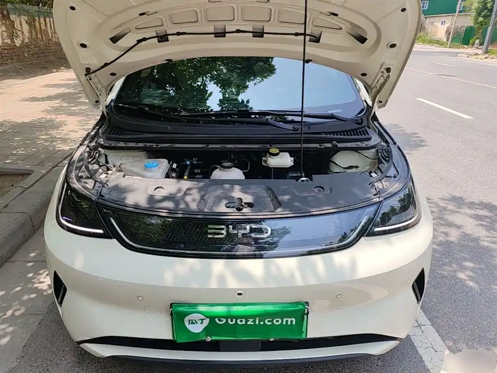 BYD Dolphin 2025 Smart Drive Edition 410km Fashion Version фото 20