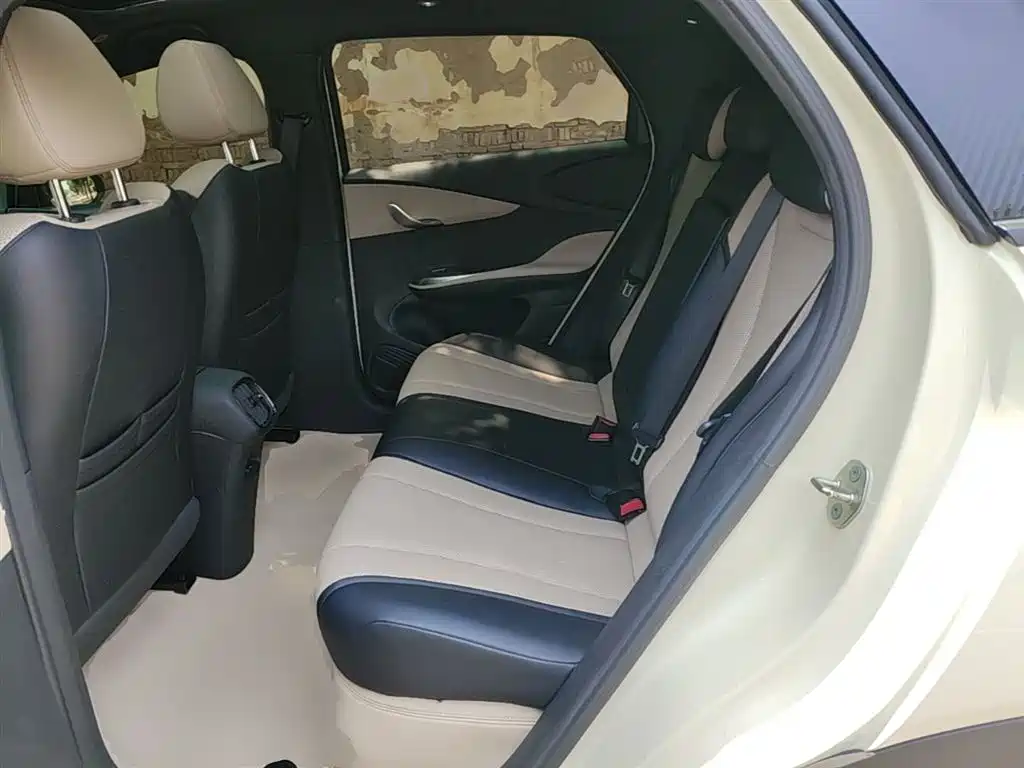 BYD Dolphin 2025 Smart Drive Edition 410km Fashion Version фото 17