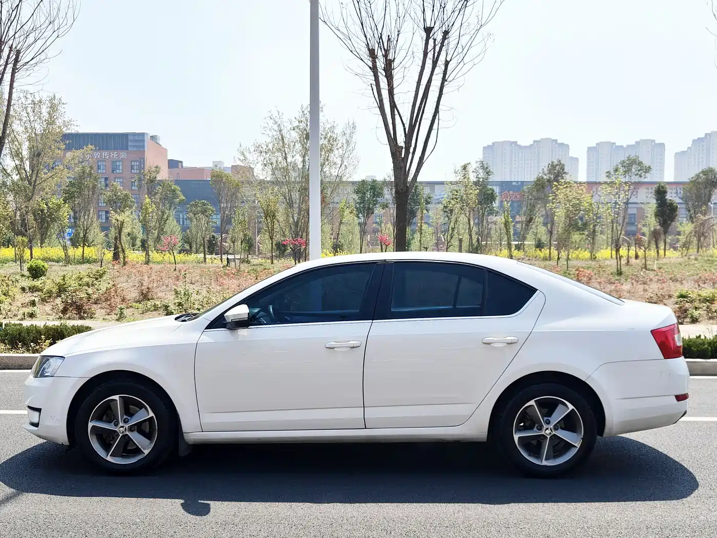 Škoda Octavia 2016 1.6L Manual Pioneer Edition фото 17