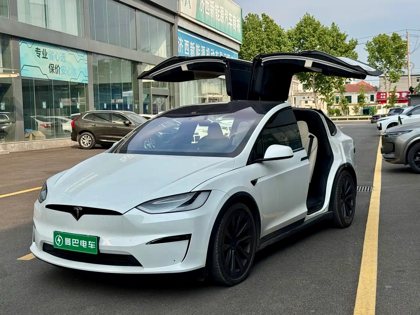 Tesla Model X 2023 Tri-motor AWD Plaid