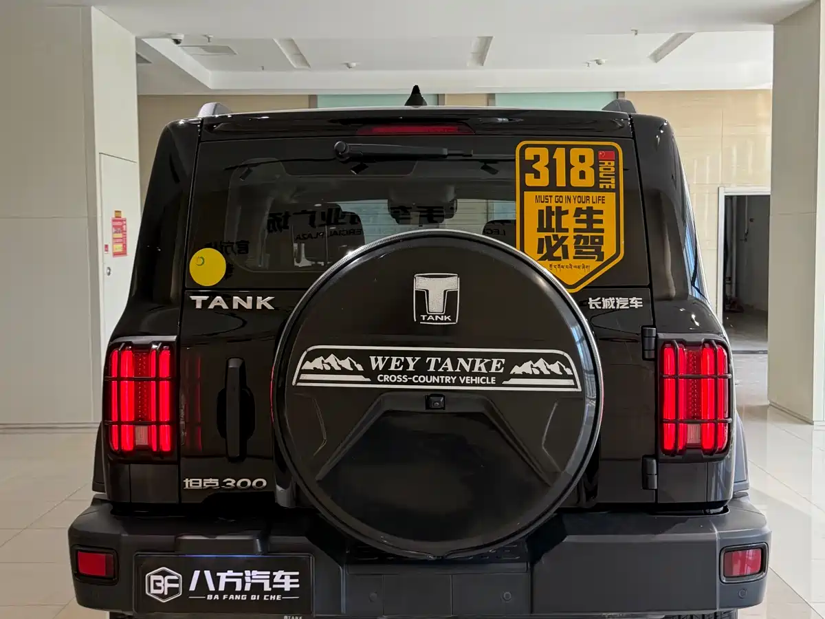Tank 300 2023 Off-Road Edition 2.0T Conqueror фото 6