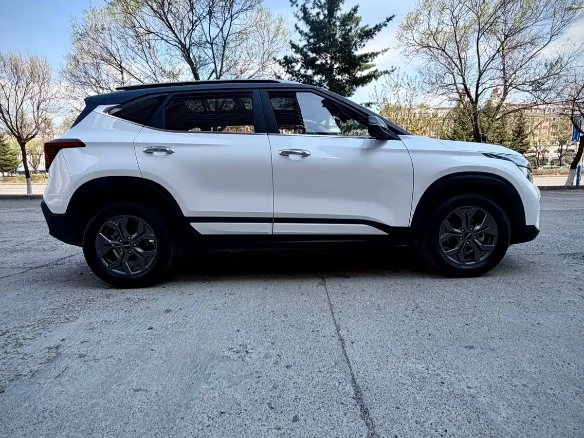 Kia Seltos 2023 1.5L CVT Luxury Edition фото 7