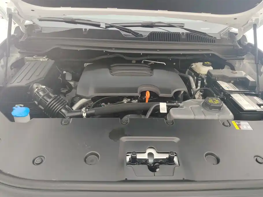 Haval H9 2024 2.0T Gasoline AWD Extreme Edition фото 10