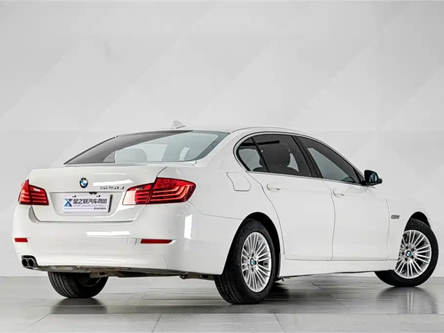 BMW 5 Series 2014 525Li Leading фото 9