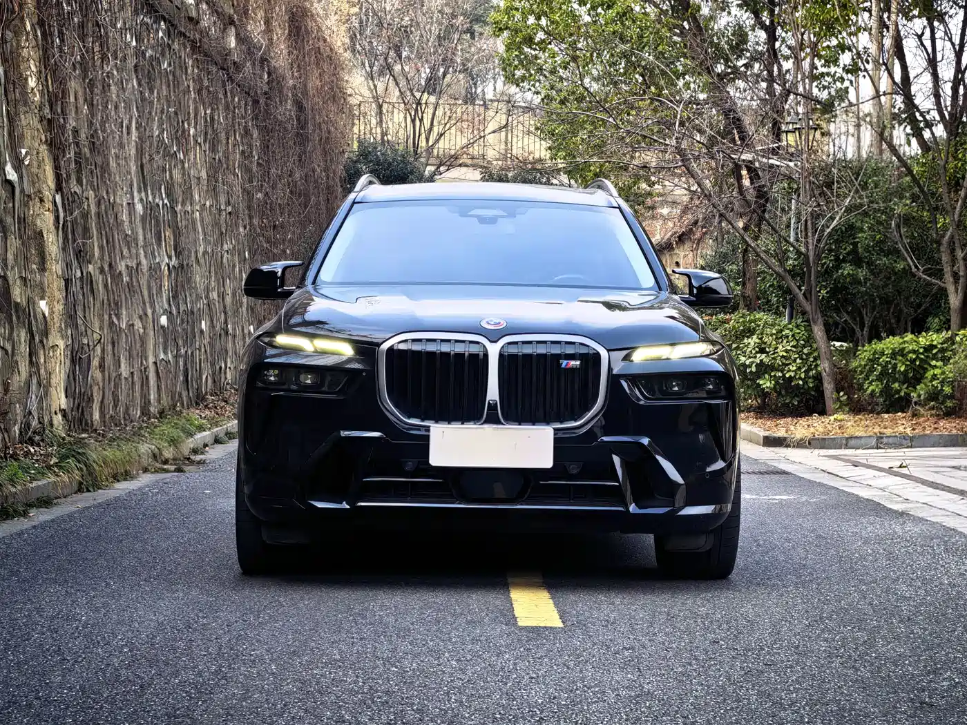 BMW X7 M60i 2023 xDrive M60i фото 2