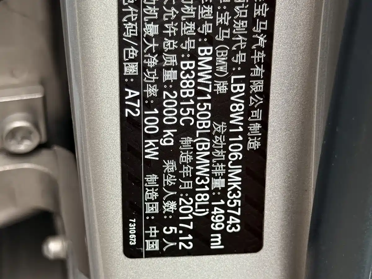 BMW 3 Series 2018 318Li фото 25