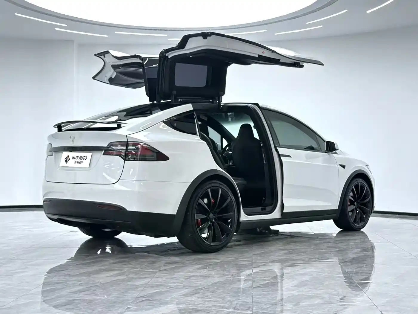 Tesla Model X 2017 2016 Model X P100D Performance