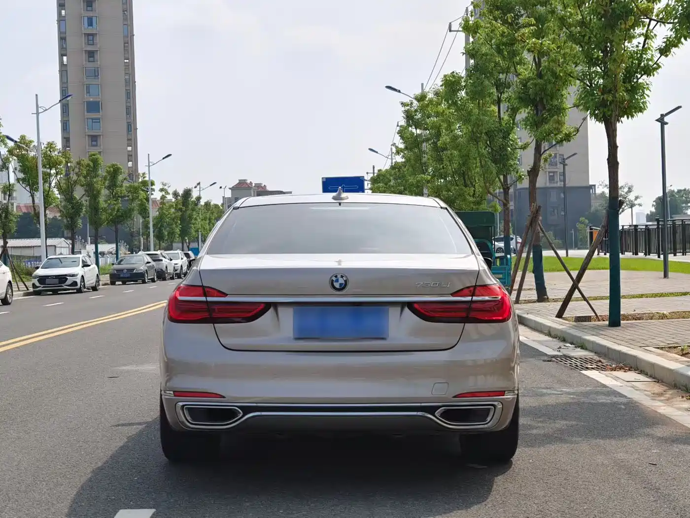 BMW 7 Series 2018 730Li Leading Type Excellence Package фото 3