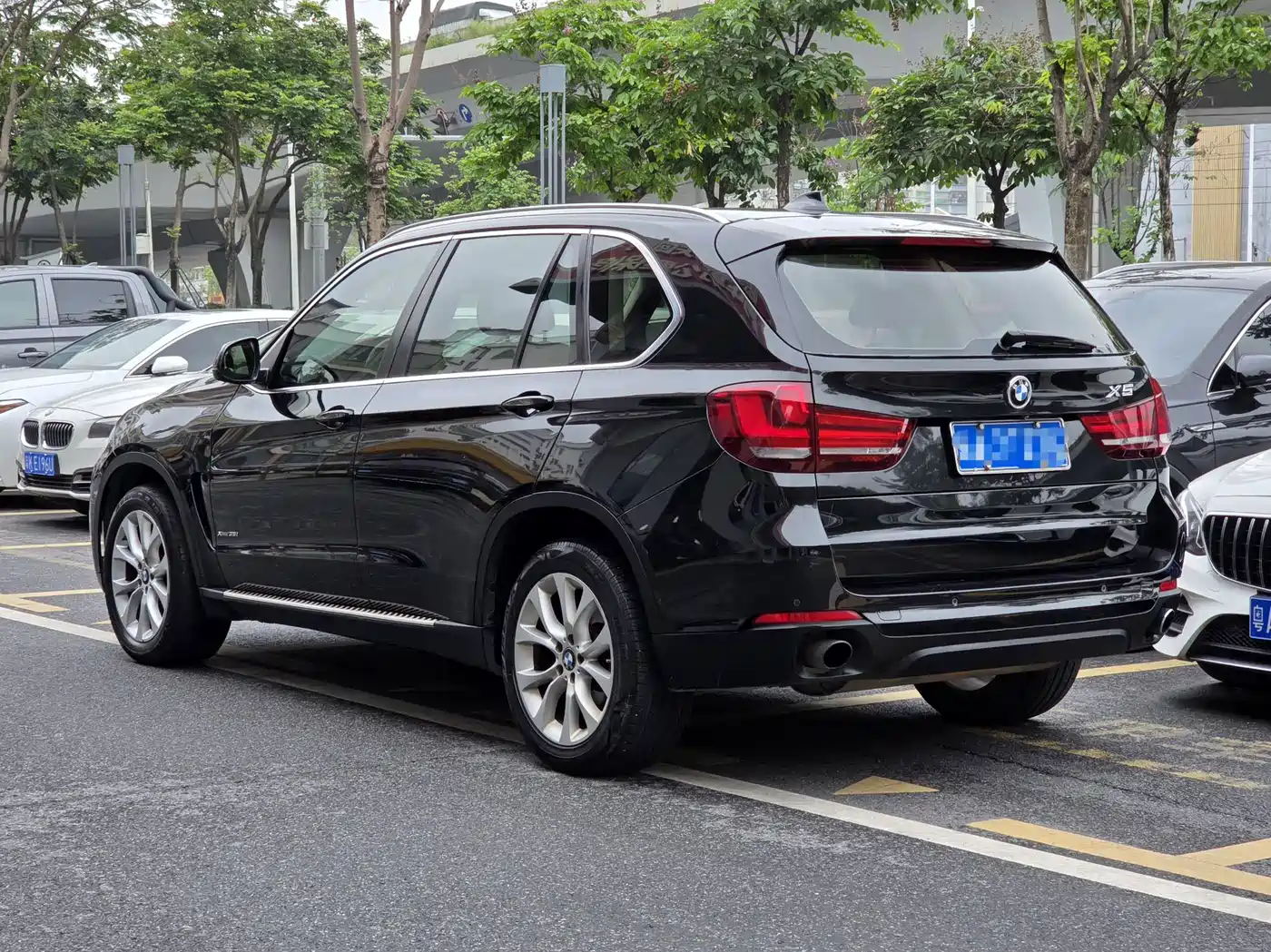 BMW X5 (Import) 2014 xDrive35i Elegance фото 9