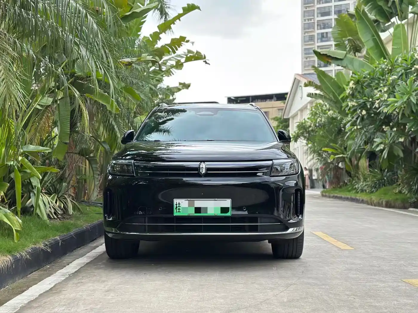 AITO Wenjie AITO M7 2024 1.5T Smart Drive RWD Pro 5-seater фото 2